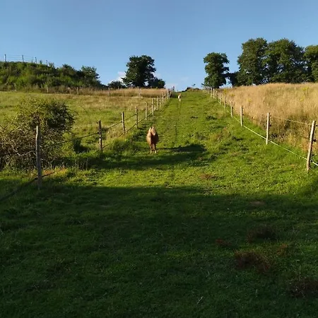 ホームステイ Les Chemins D'ambre Et Thais