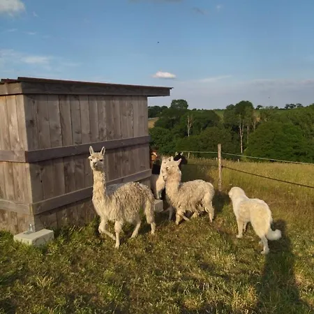 ホームステイ Les Chemins D'ambre Et Thais *