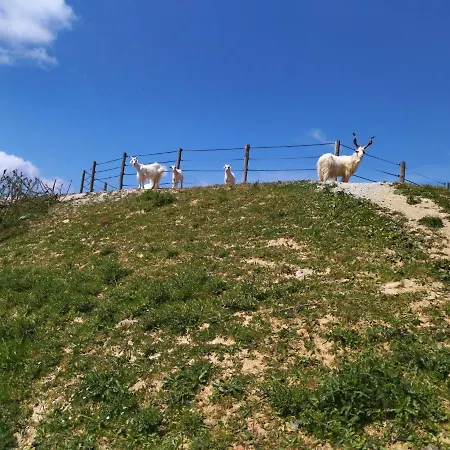 Les Chemins D'ambre Et Thais * La Regrippiere
