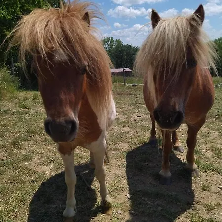 Les Chemins D'ambre Et Thais ホームステイ *