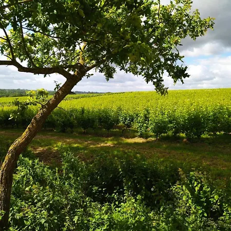 ホームステイ Les Chemins D'ambre Et Thais La Regrippiere