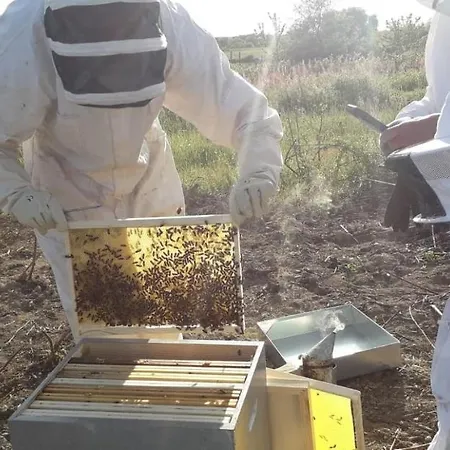 Séjour chez l'habitant Les Chemins D'ambre Et Thaïs