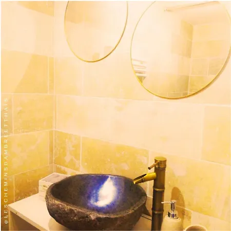 Les Chemins D'ambre Et Thais *