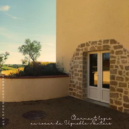 Les Chemins D'ambre Et Thais *