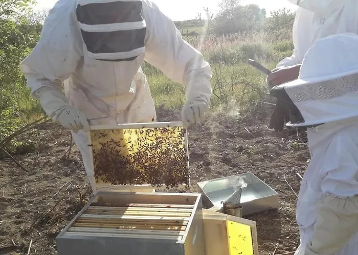 Rum i privatbostad Les Chemins D'ambre Et Thais